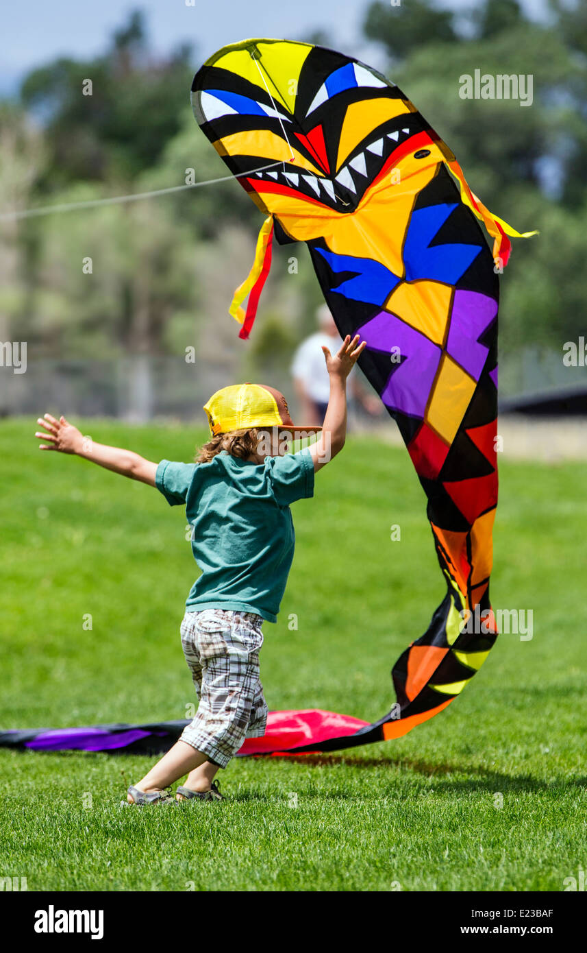 Kleiner Junge einen Drachen auf einer Wiese zu starten Stockfoto