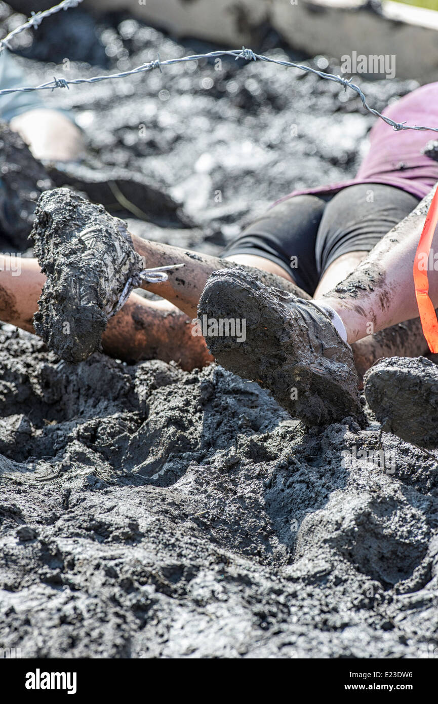 Schlamm-Hindernis-Parcours Stockfoto