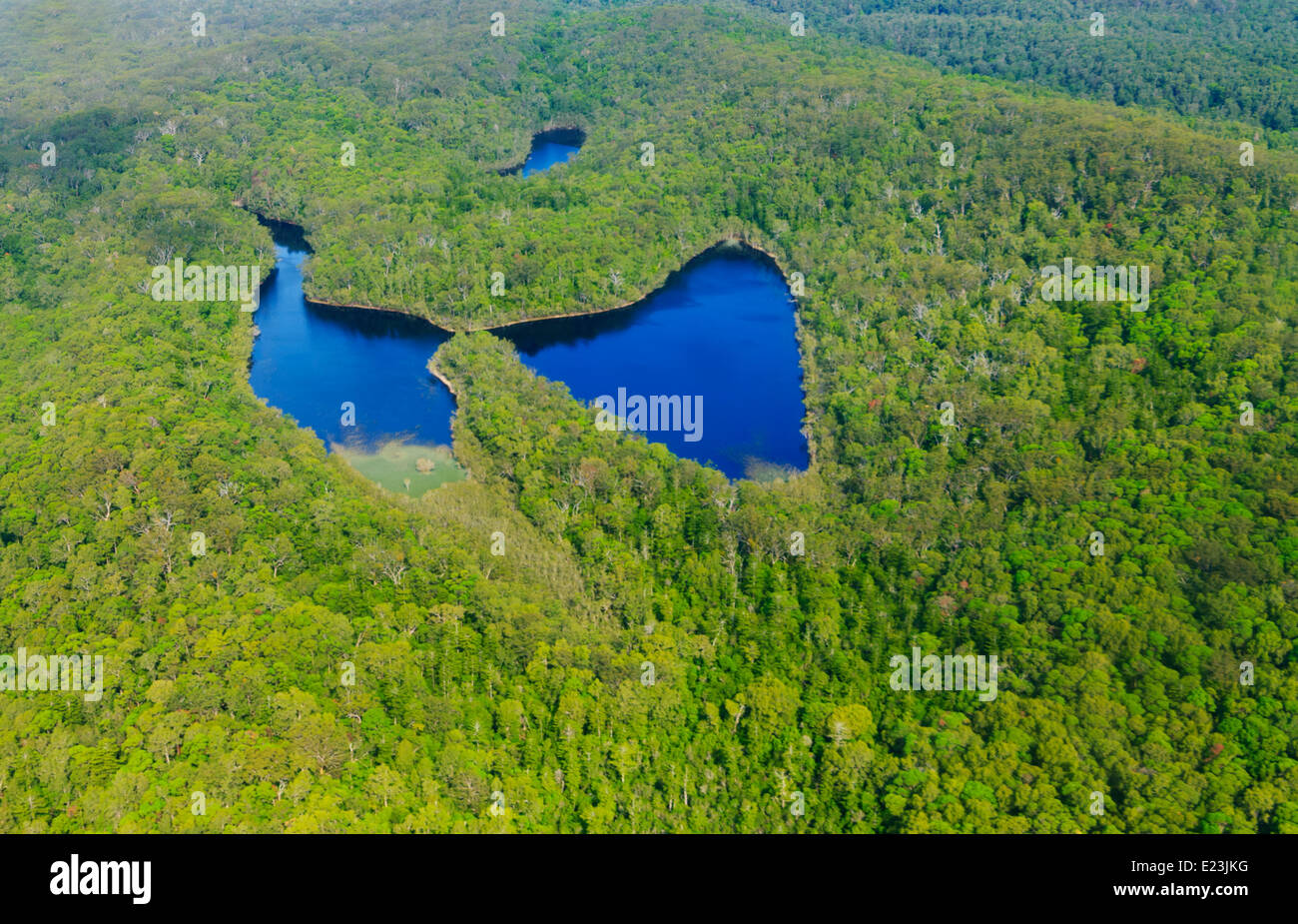 Luftaufnahme des Sees thront, Fraser Island, Queensland, Queensland, Australien Stockfoto