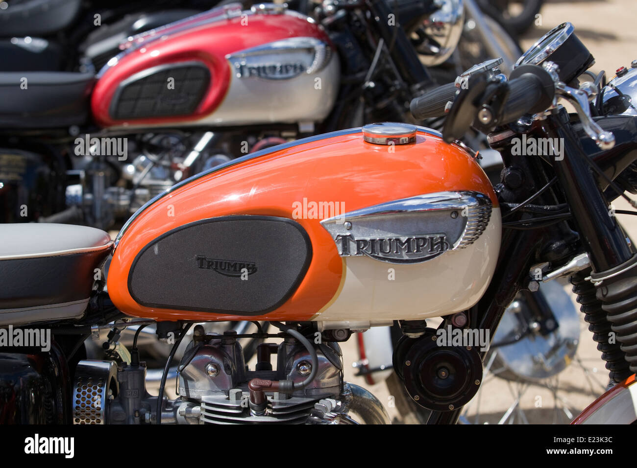 Triumph-Motorräder in Folge Stockfoto