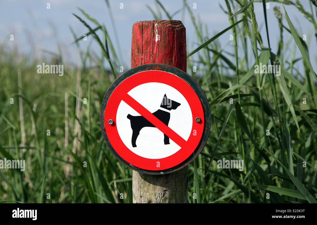 Keine Hunde erlaubt sign.keep entfernt Stockfoto