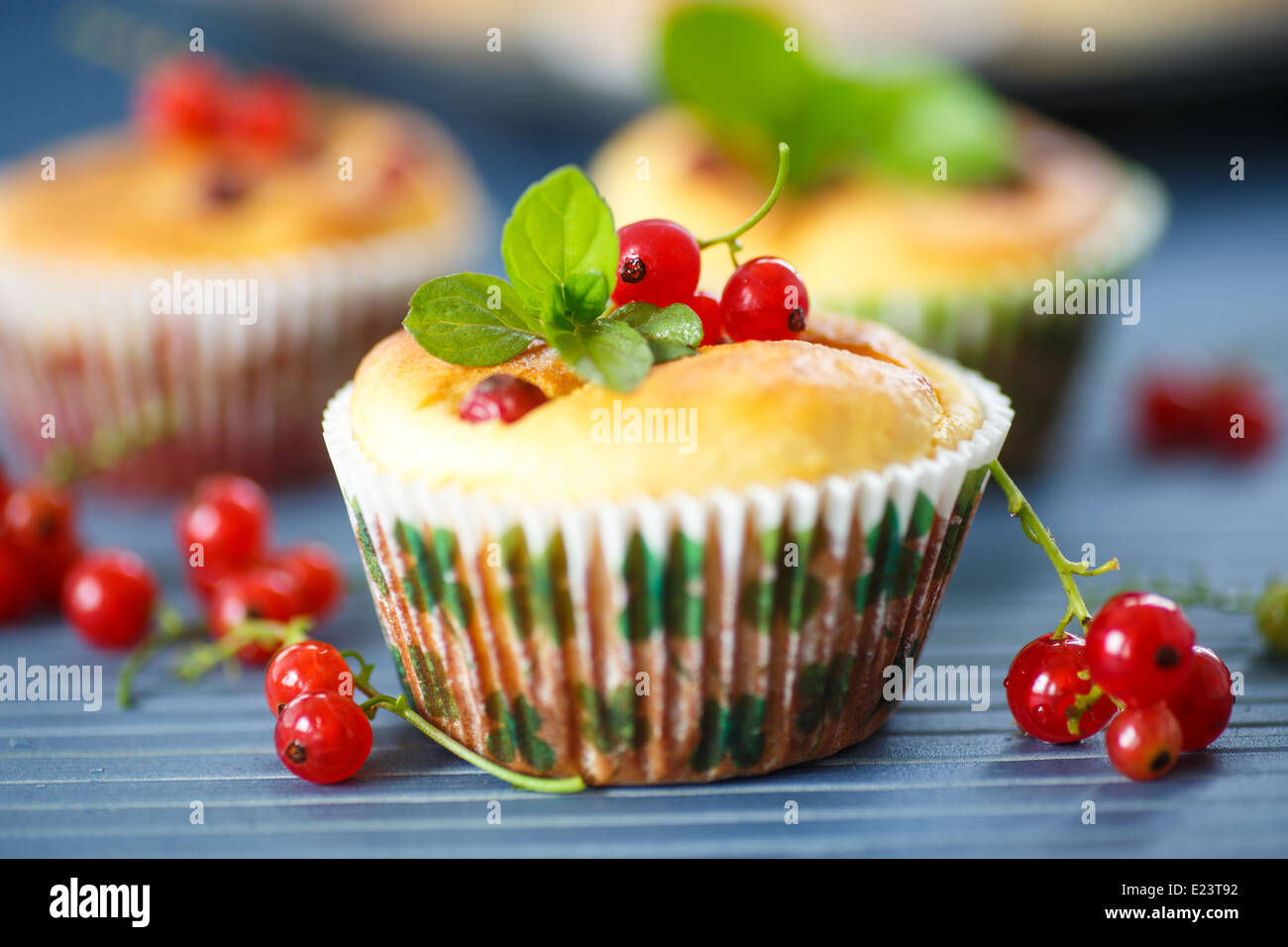 Käse-Muffins mit Johannisbeeren und Minze-Zweig Stockfoto