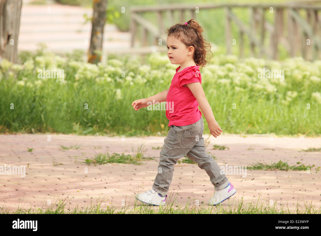 ein wunderschönes kleines Mädchen in einem Park zu Fuß Stockfoto