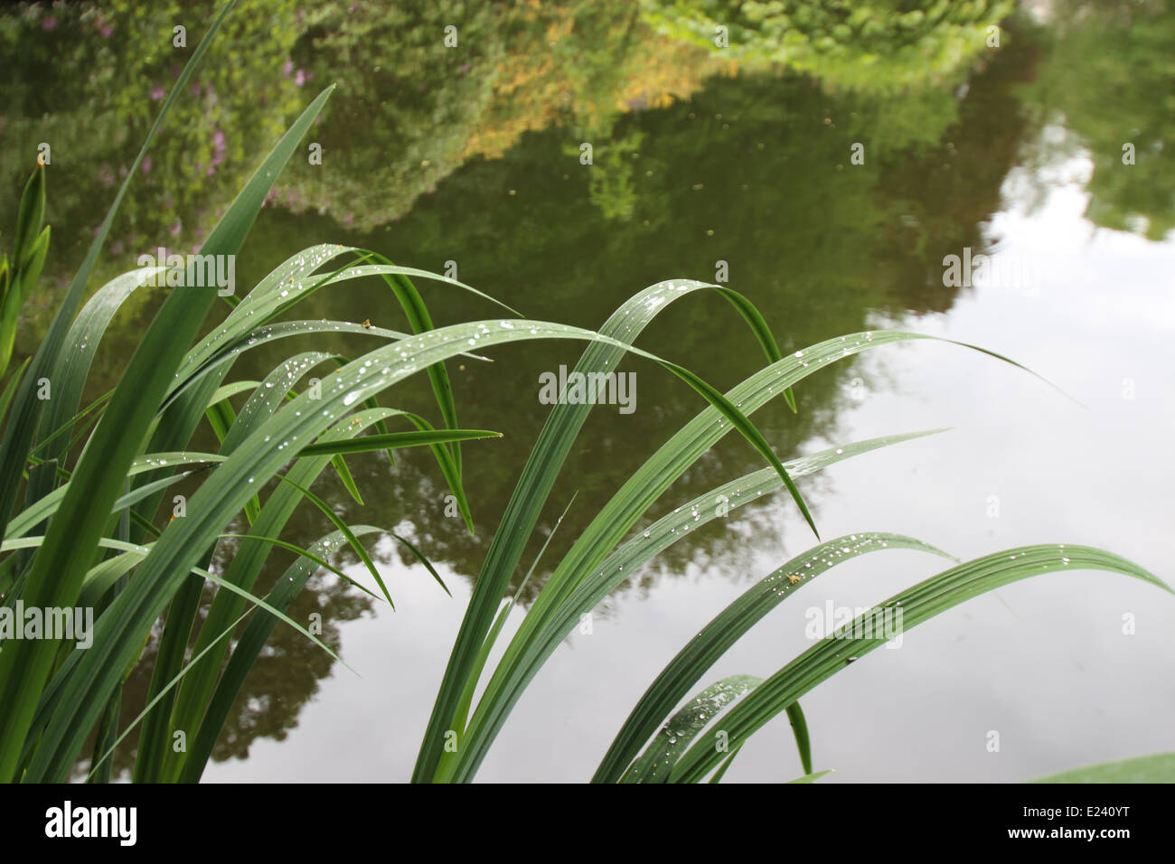 Wightwick Manor Stockfoto