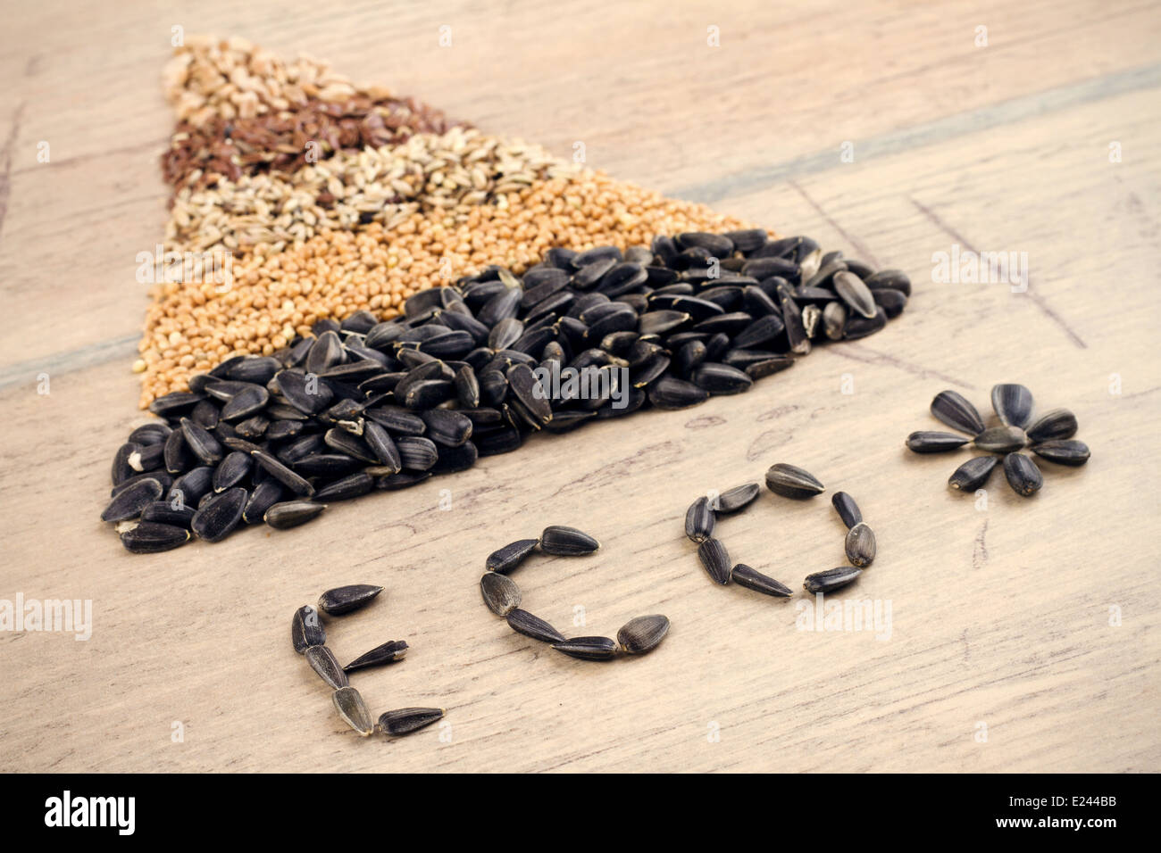 Getreide und Samen: Roggen, Weizen, Gerste, Hafer, Sonnenblumen, Flachs Stockfoto
