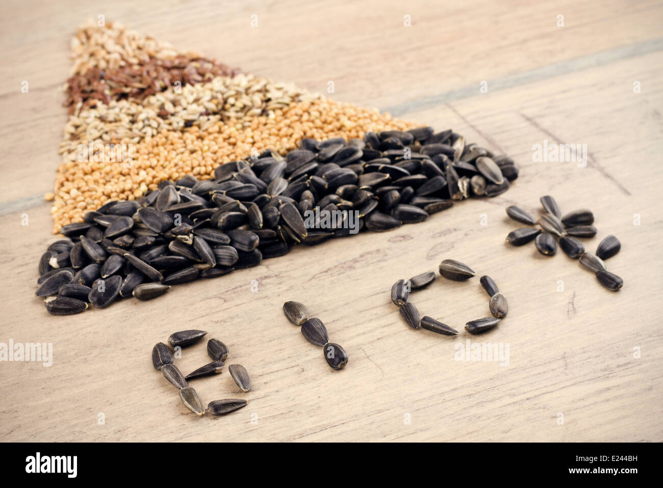 Getreide und Samen: Roggen, Weizen, Gerste, Hafer, Sonnenblumen, Flachs Stockfoto