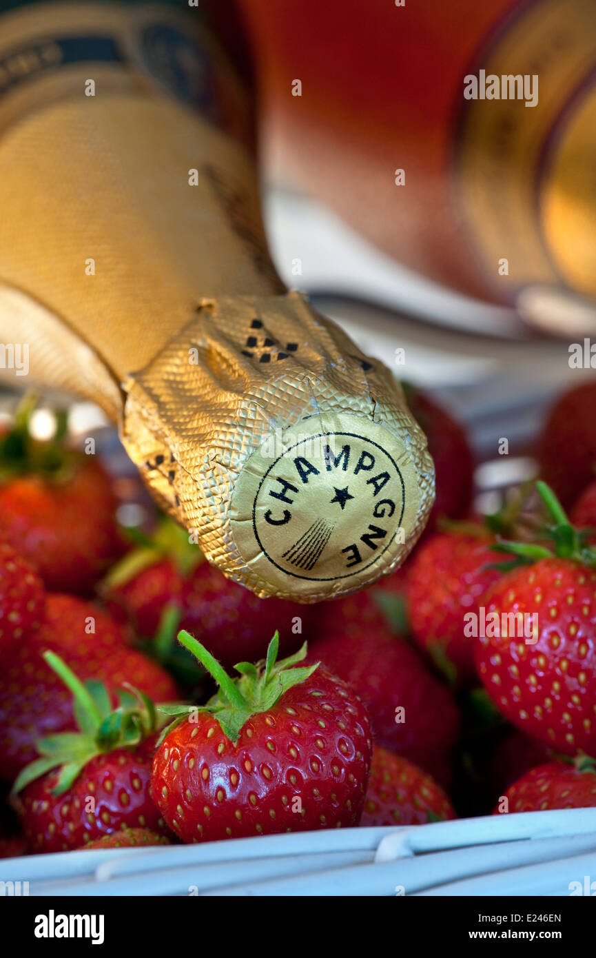 Nahaufnahme auf Luxus Flaschen Champagner im Weinkühler Schrank mit Bastkörbe von frischen Erdbeeren Stockfoto
