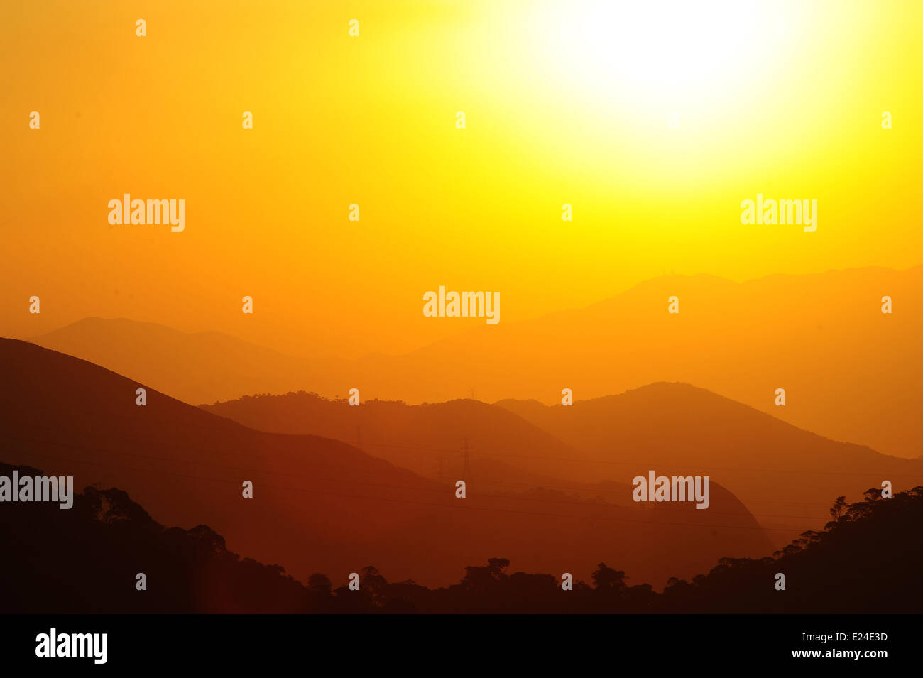 Nationalpark Tijuca in Rio. Sonne. Stockfoto