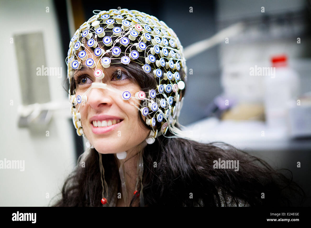 Studie des Gehirns Stockfoto