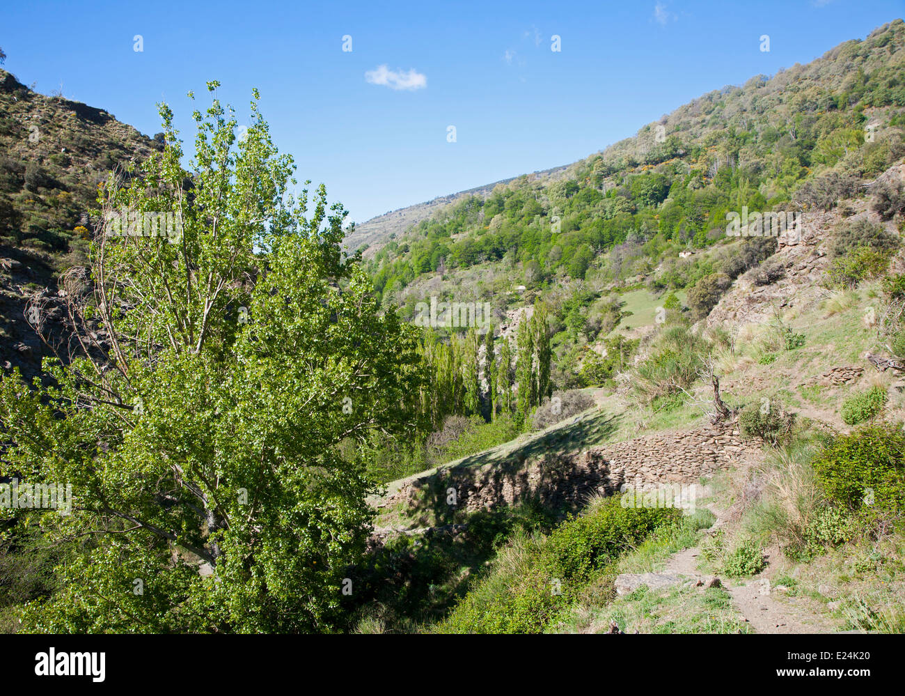 Landschaft des Flusses Rio Poqueira Schlucht Tal, hohe Alpujarras, Sierra Nevada, Provinz Granada, Spanien Stockfoto