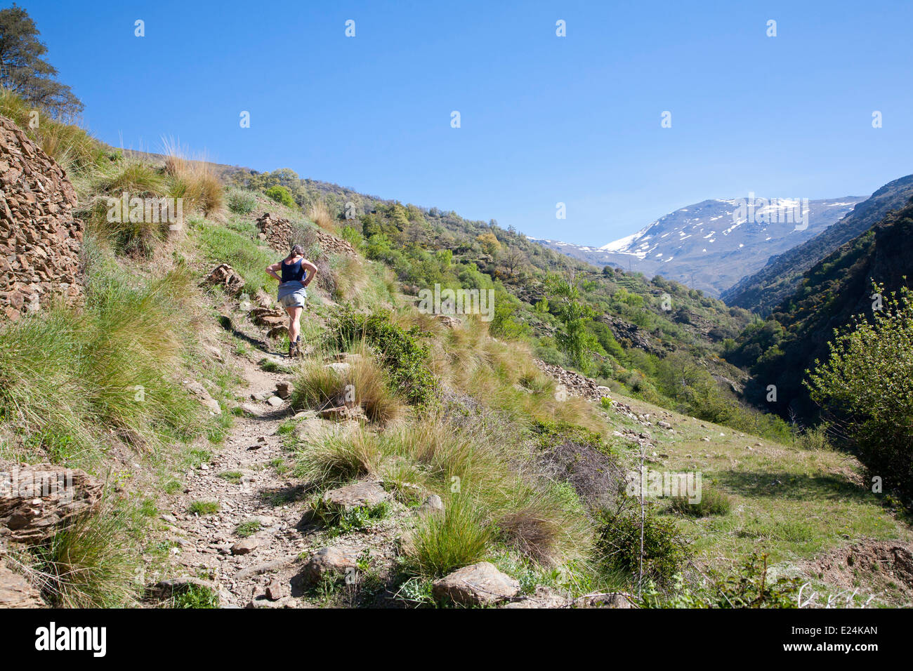 Landschaft des Flusses Rio Poqueira Schlucht Tal, hohe Alpujarras, Sierra Nevada, Provinz Granada, Spanien Stockfoto