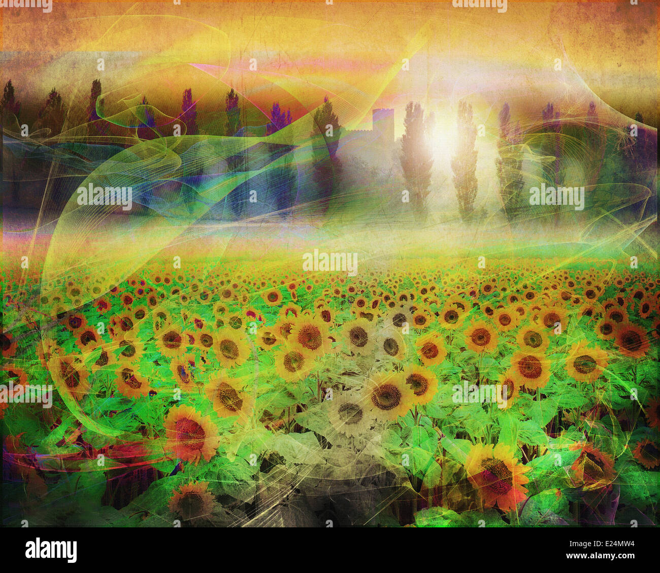 GB - LEICESTERSHIRE: Sonnenblumenfeld bei Breedon auf dem Hügel (Digitalkunst) Stockfoto