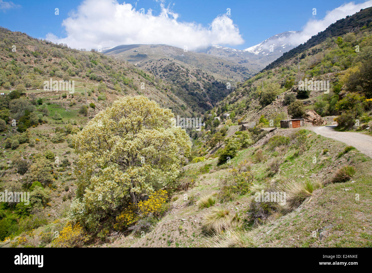 Landschaft des Flusses Rio Poqueira Schlucht Tal, hohe Alpujarras, Sierra Nevada, Provinz Granada, Spanien Stockfoto