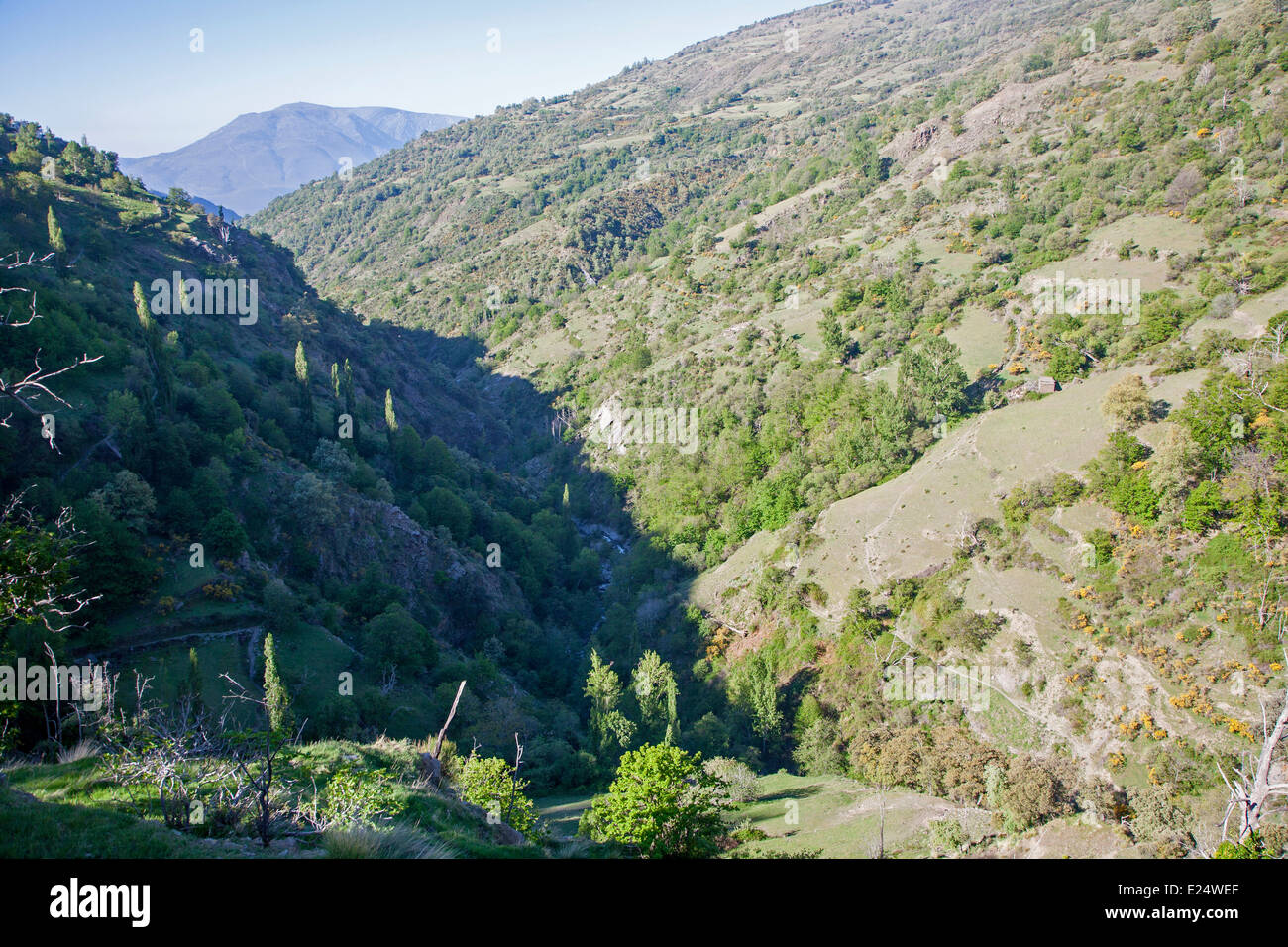 Landschaft des Flusses Rio Poqueira Schlucht Tal, hohe Alpujarras, Sierra Nevada, Provinz Granada, Spanien Stockfoto