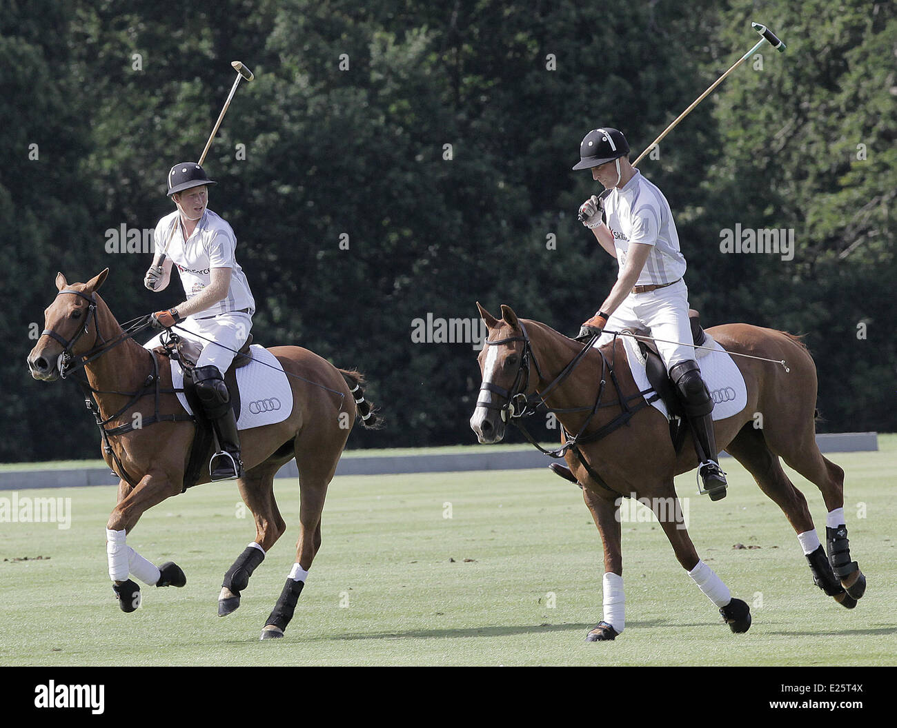 Großbritanniens Prinz WIlliam und Prinz Harry spielen ein Benefizspiel Polo Audi Polo Challenge, Coworth Park, Berkshire, das Spiel ist zugunsten der Wohlfahrtsverbände SkillForce und The Royal Marsden Cancer Charity, von denen The Duke of Cambridge Mäzen und Präsident bzw. ist.  Mitwirkende: Prinz WIlliam, Prinz Harry Where: Windsor, Royaume-Uni-wann: 3. August 2013 Stockfoto