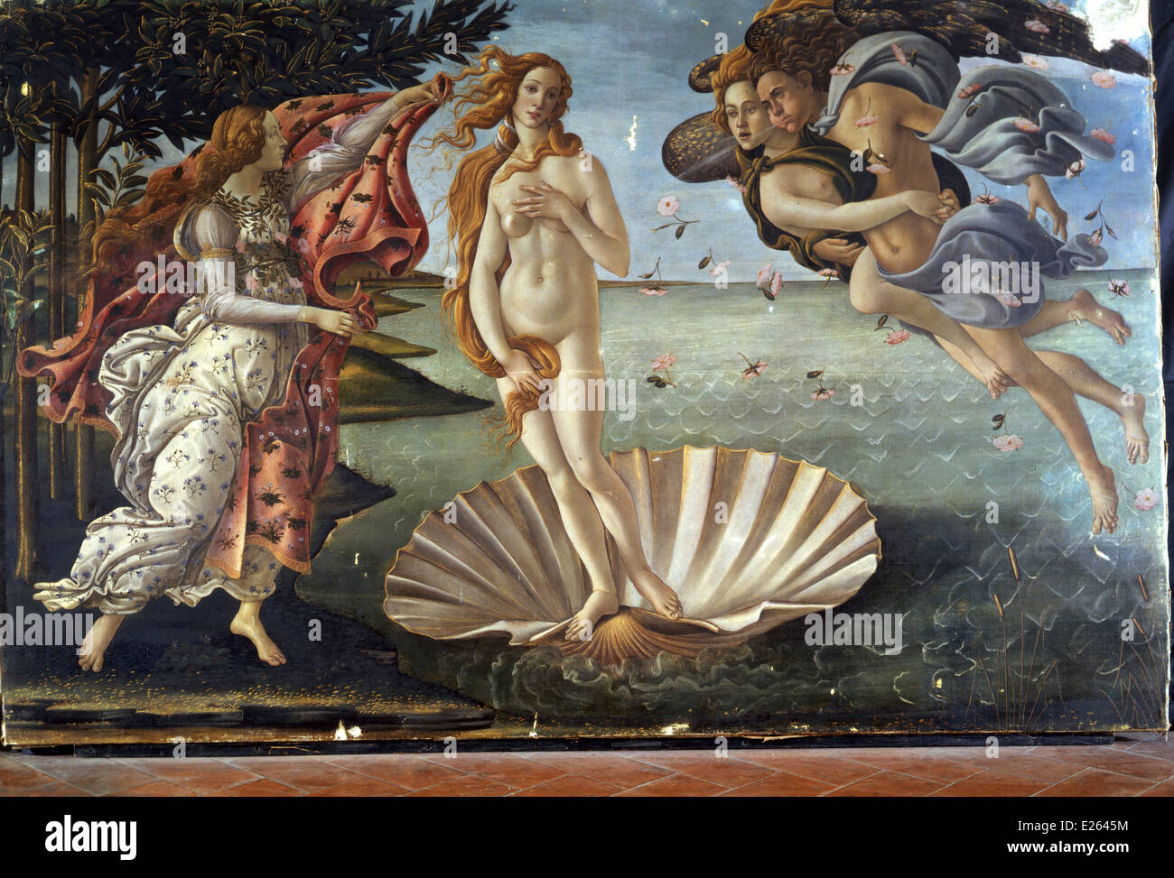 Sandro Botticelli Die Geburt Der Venus Uffizien In Florenz Stockfotografie Alamy