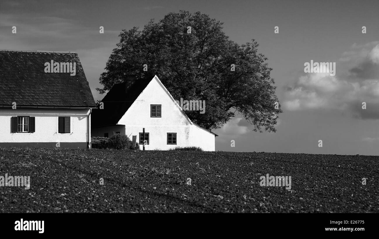 Steirisches Bauernhaus und Felder im Frühling. Attendorf Styria Austria - Südsteirisches Bauernhaus Und Unbestellte Felder Im Frühling Stockfoto
