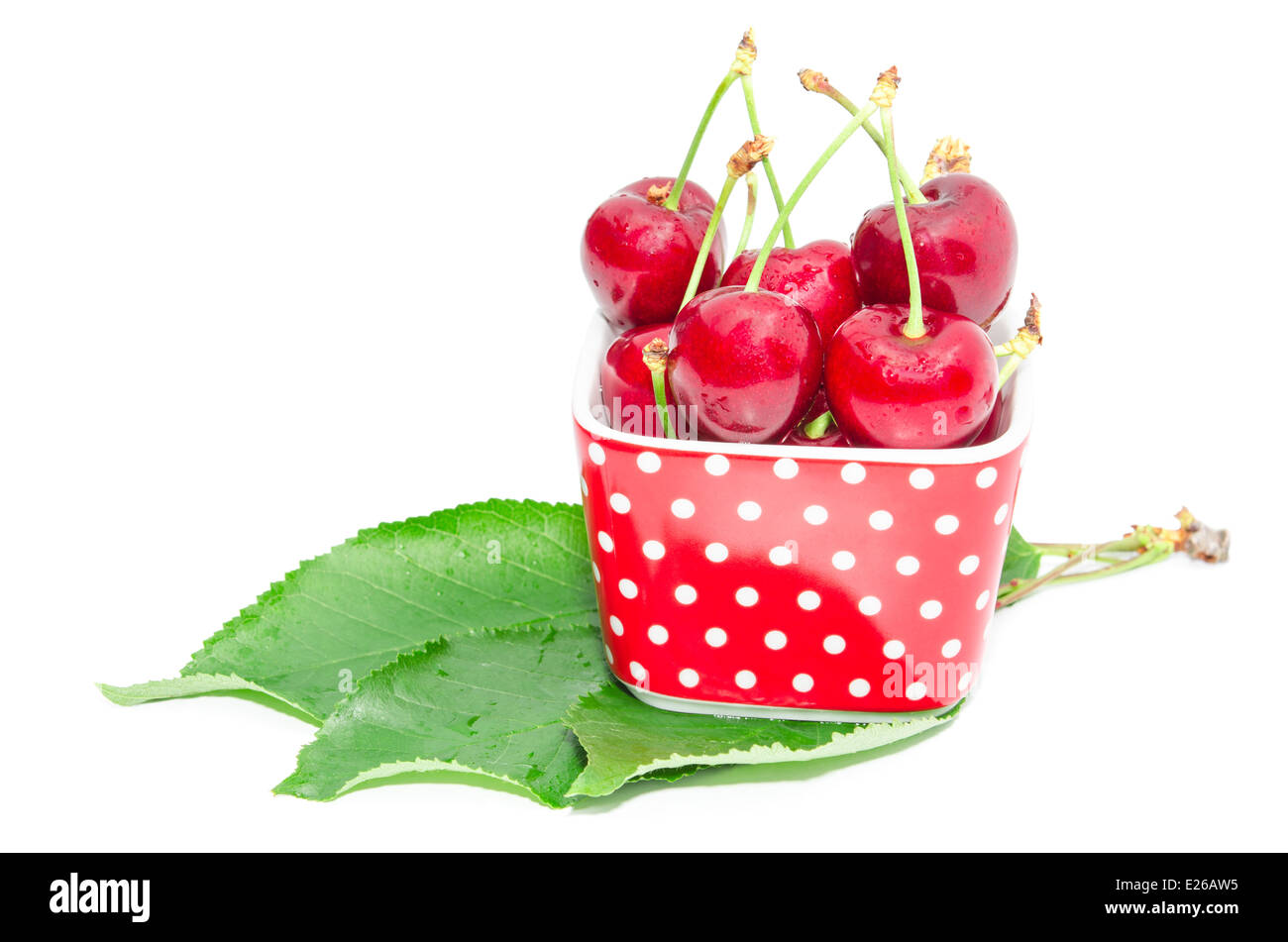 Natürliche Bio Sommer Ernährung für vegetarische Gourmet-große Reife Kirsche nassen Beerenfrüchte in kleine quadratische Schale Schale isoliert Stockfoto