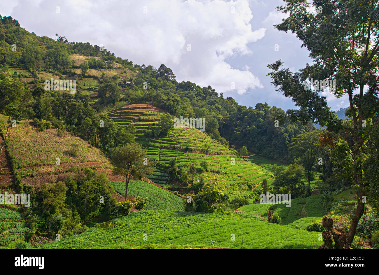 Hochland von Guatemala Stockfoto