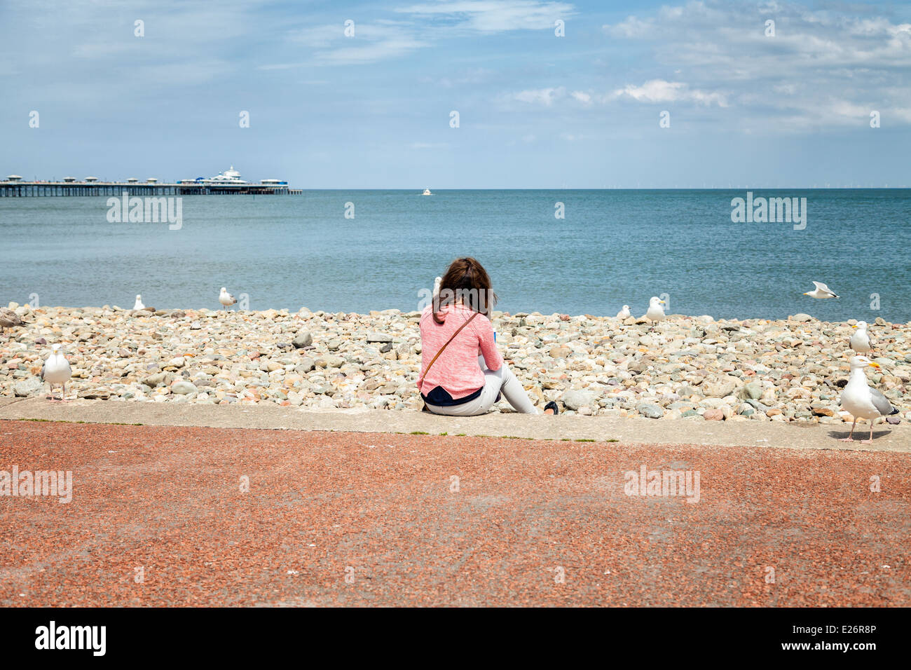 Junge Frauen sitzen auf ihrem eigenen am Strand trinken Kaffee, umgeben von Möwen als sie genießt den Blick aufs Meer Stockfoto