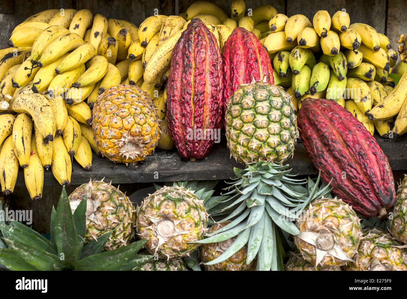 Kakaofrucht umgeben von anderen tropischen Früchten auf dem Tresen der Lateinamerika Straßenmarkt, Ecuador Stockfoto