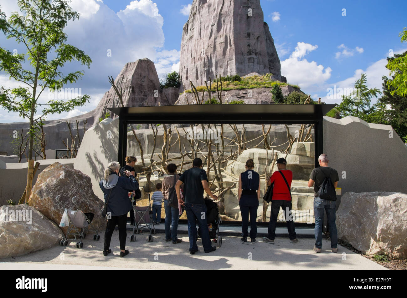 Besucher betrachten Paviane durch das Glas Zoo Paris Frankreich Stockfoto
