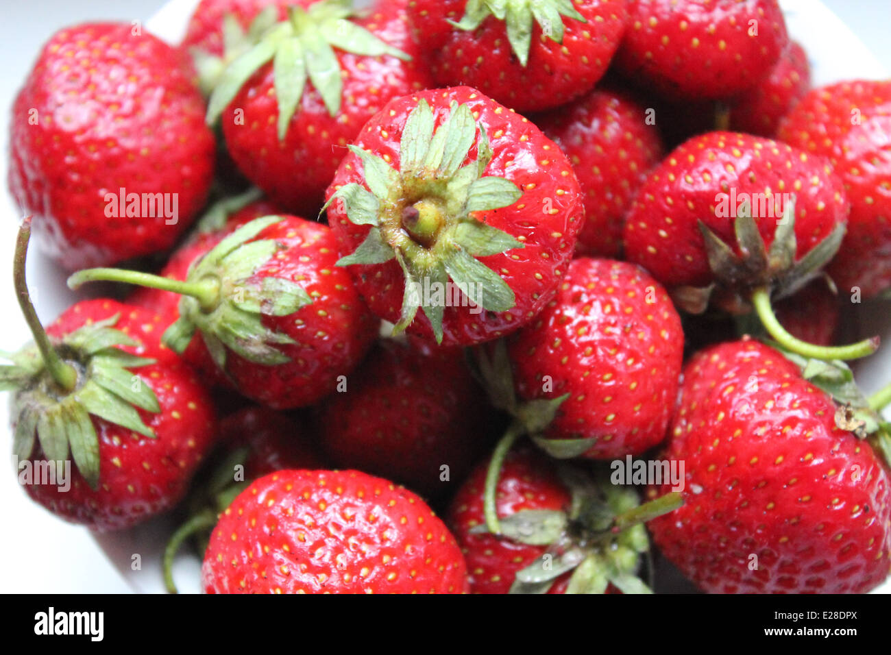 süßes Dessert rote Reife frische Erdbeeren in Berg Stockfoto