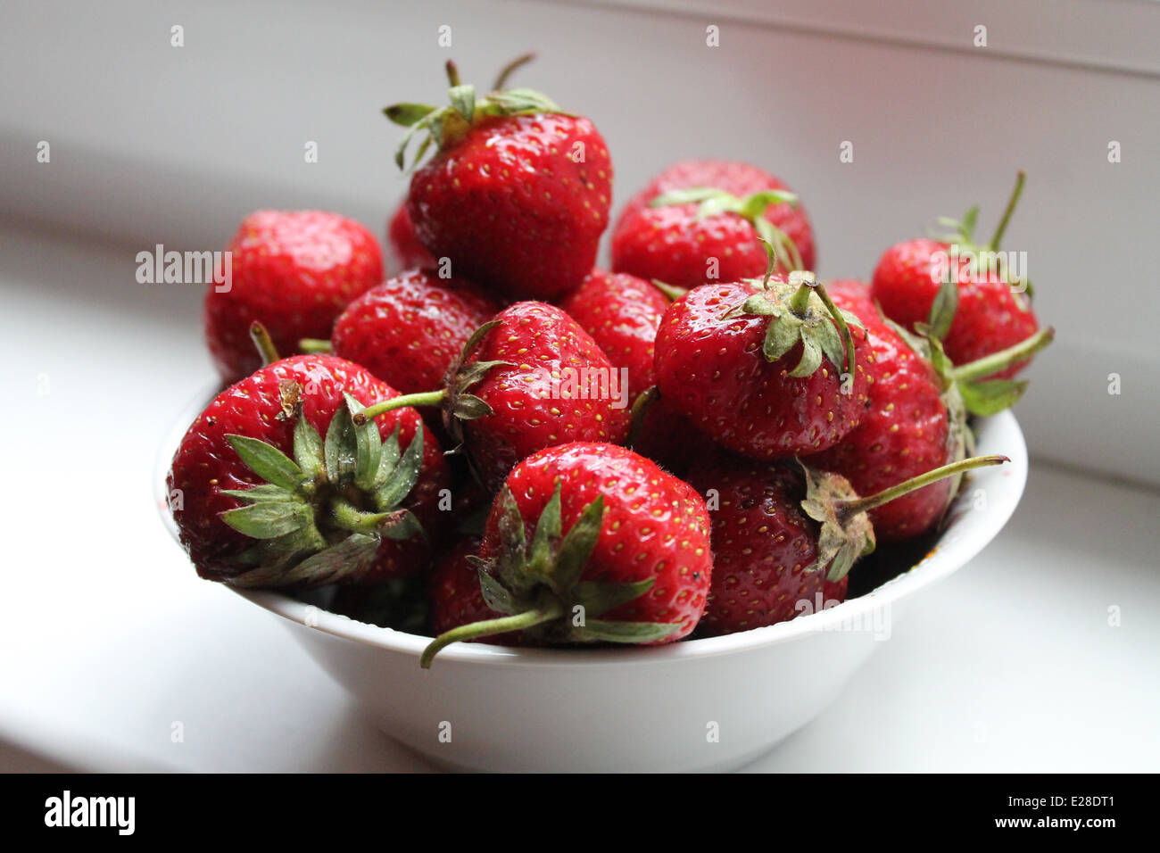 Aroma frisch Garten rote mellow Erdbeeren in weißer Teller Stockfoto