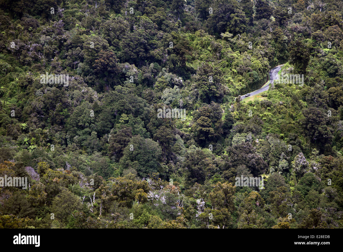 eine Straße durchschneidet Buschlandschaft zwischen Karamea und Westport, West Coast, Südinsel, Neuseeland Stockfoto