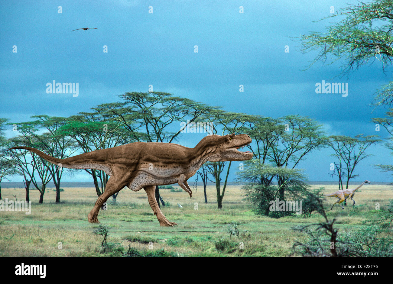 Albertosaurus Dinosaurier Stockfoto