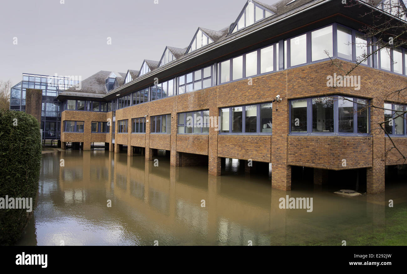 Burohaus Gebaut Auf Aue Mit Backstein Stelzen Struktur Oberhalb