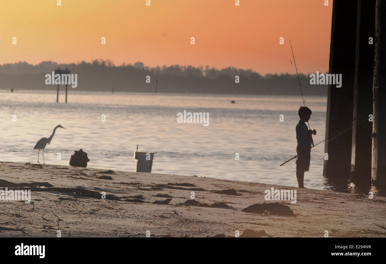 Bradenton, Florida, USA. 17 Juni 2014.Young Fischer konnte seinen Köder verlieren, wie Reiher Garnelen zum Frühstück freut sich auf. Bildnachweis: David Burr/Alamy Live-Nachrichten Stockfoto