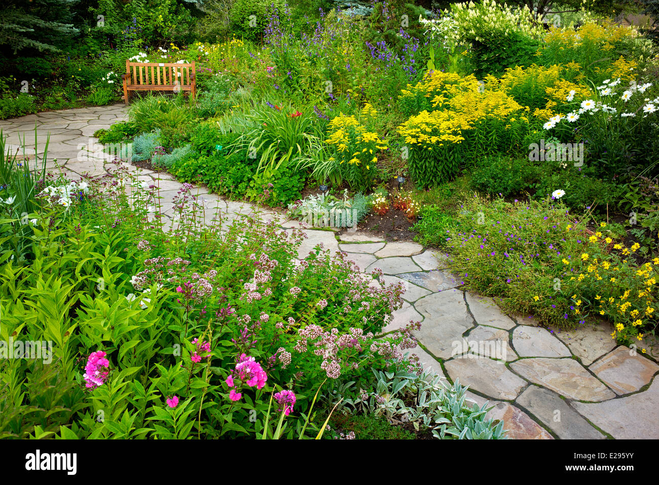 Blumengarten mit Vordergrund Sedum und Steinweg in Betty Ford Alpine Gardens. Vale-Colorado Stockfoto