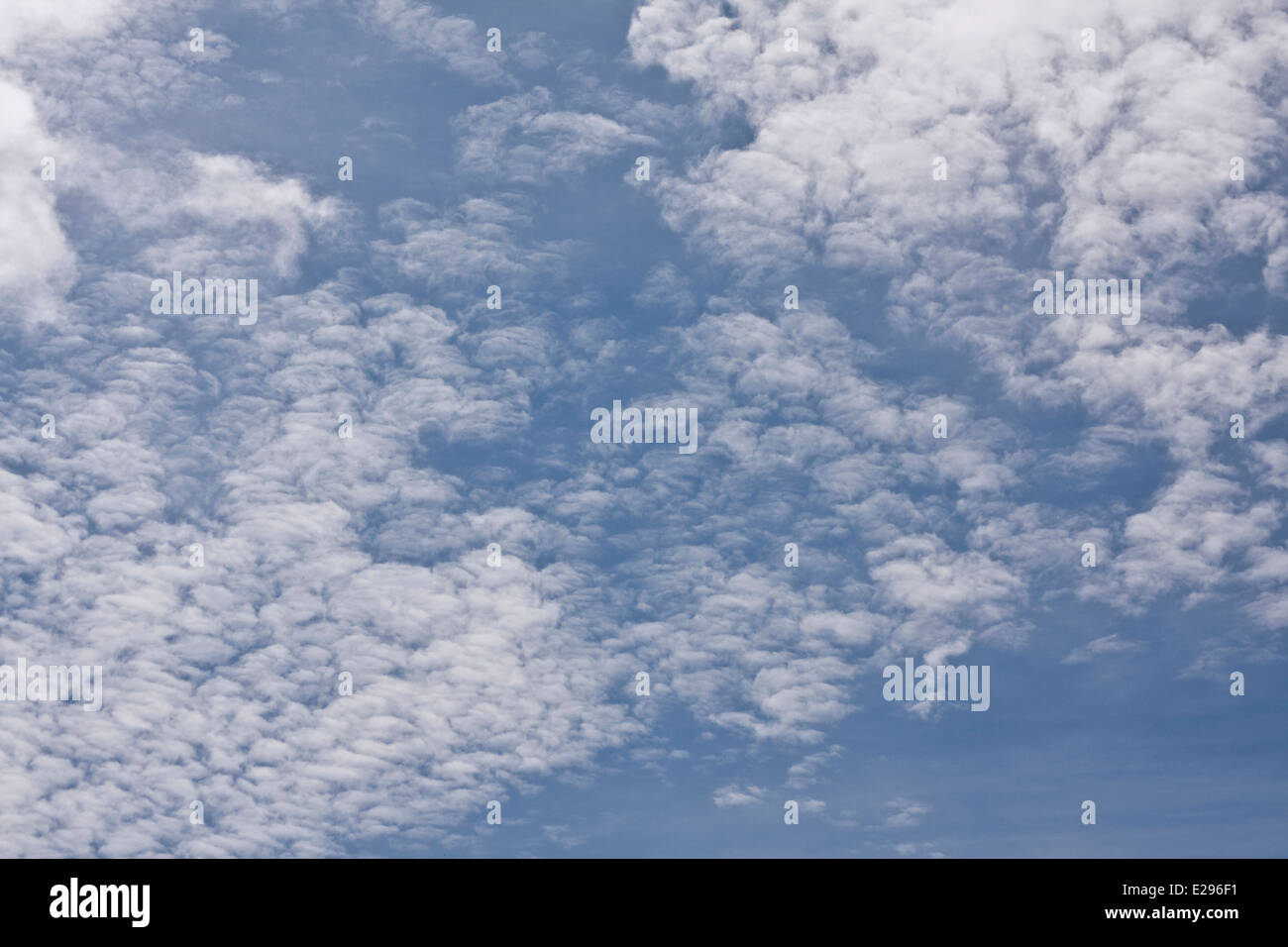 Cirrocumulus "Fischgrat" oder "Makrele" Wolken bilden ungewöhnliche Muster in den Himmel über Dundee, UK Stockfoto