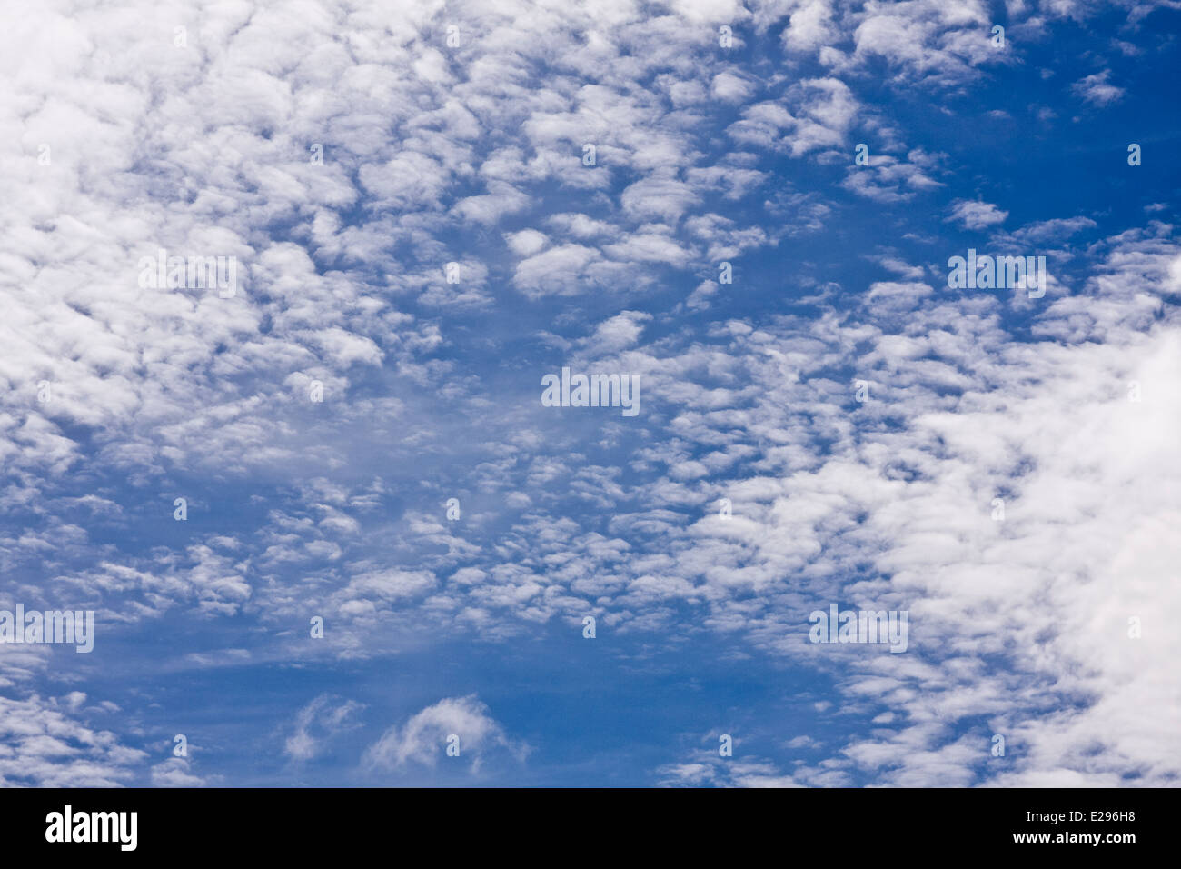 Tiefflug "Herringbone" oder "Makrele" Wolken bilden ungewöhnliche Muster in den Himmel über Dundee, UK Stockfoto