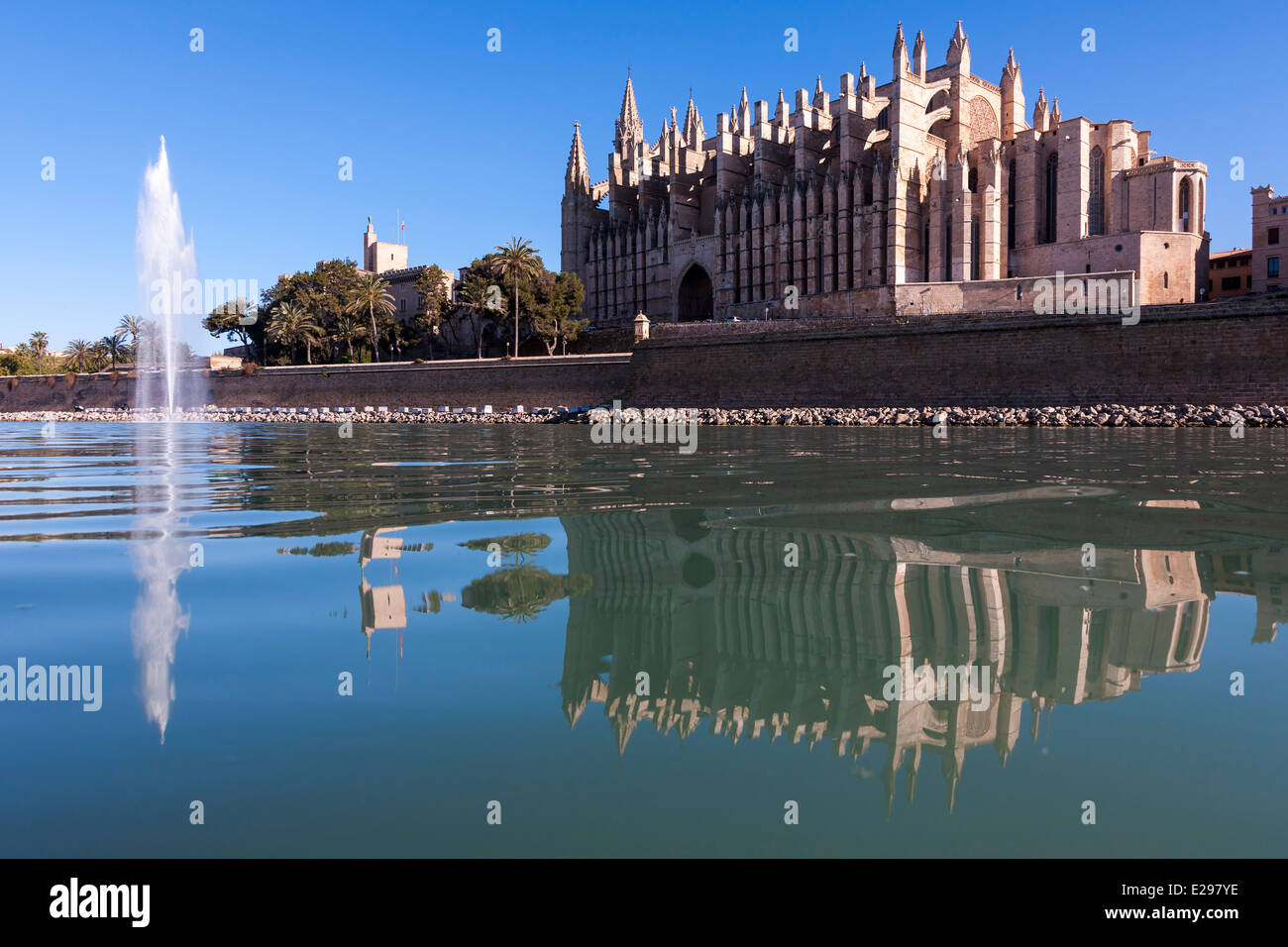 Kathedrale von Mallorca-Spiegelbild im See, Palma Stockfoto