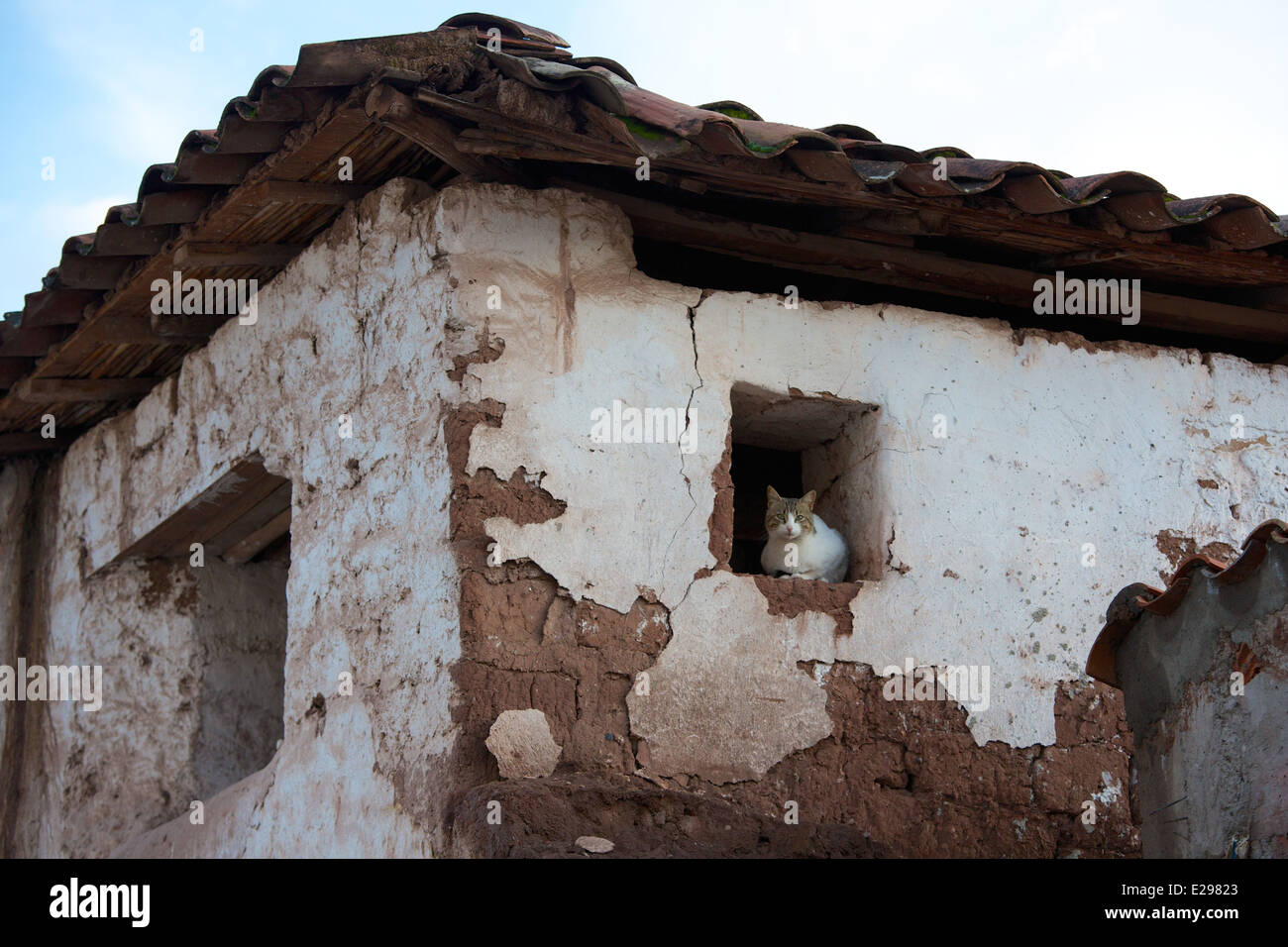 Eine ziemlich Straßenszene mit einer Katze in einem Fenster in Cusco, Peru, dem alten Sitz des Inka-Reiches hoch in den Anden. Stockfoto Eine ziemlich Straßenszene mit einer Katze in einem Fenster in Cusco, Peru, dem alten Sitz des Inka-Reiches hoch in den Anden. Stockfoto
