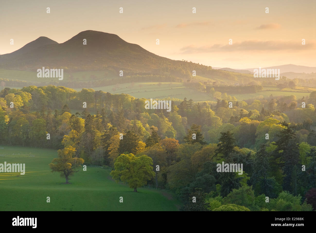 Die Eildon Hills, Scottish Borders. Stockfoto