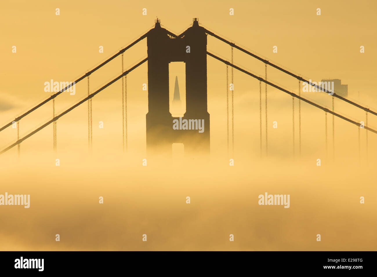 Nebligen Sonnenaufgang auf der Golden Gate Bridge mit der Transamerica Pyramid Stockfoto
