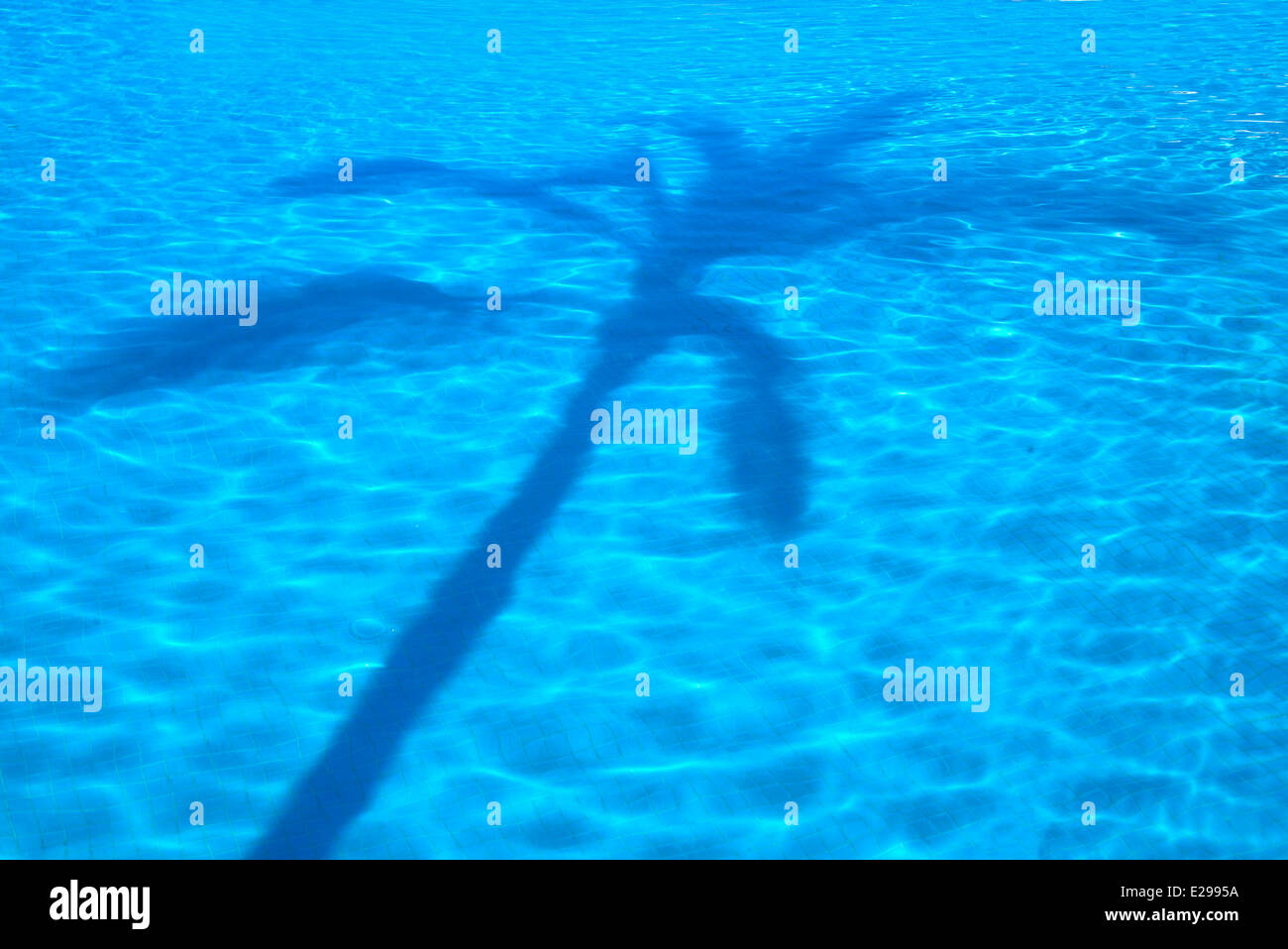 Palm-Baum Schatten im Pool. Punta Mita, Mexiko Stockfoto
