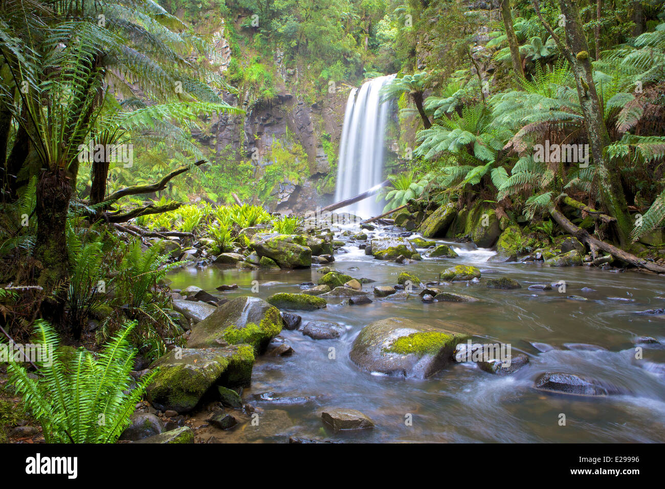 Hopetoun Falls am Fluss Aire im Great Otway National Park, Victoria, Australien. Stockfoto