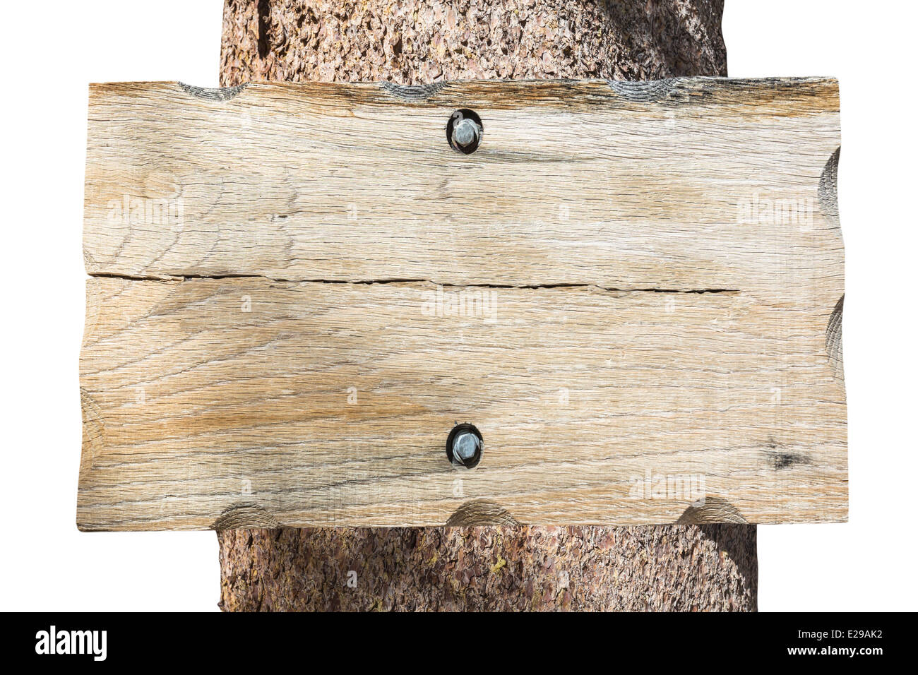 Leere Holz Baum Zeichen isoliert auf weiss. Stockfoto