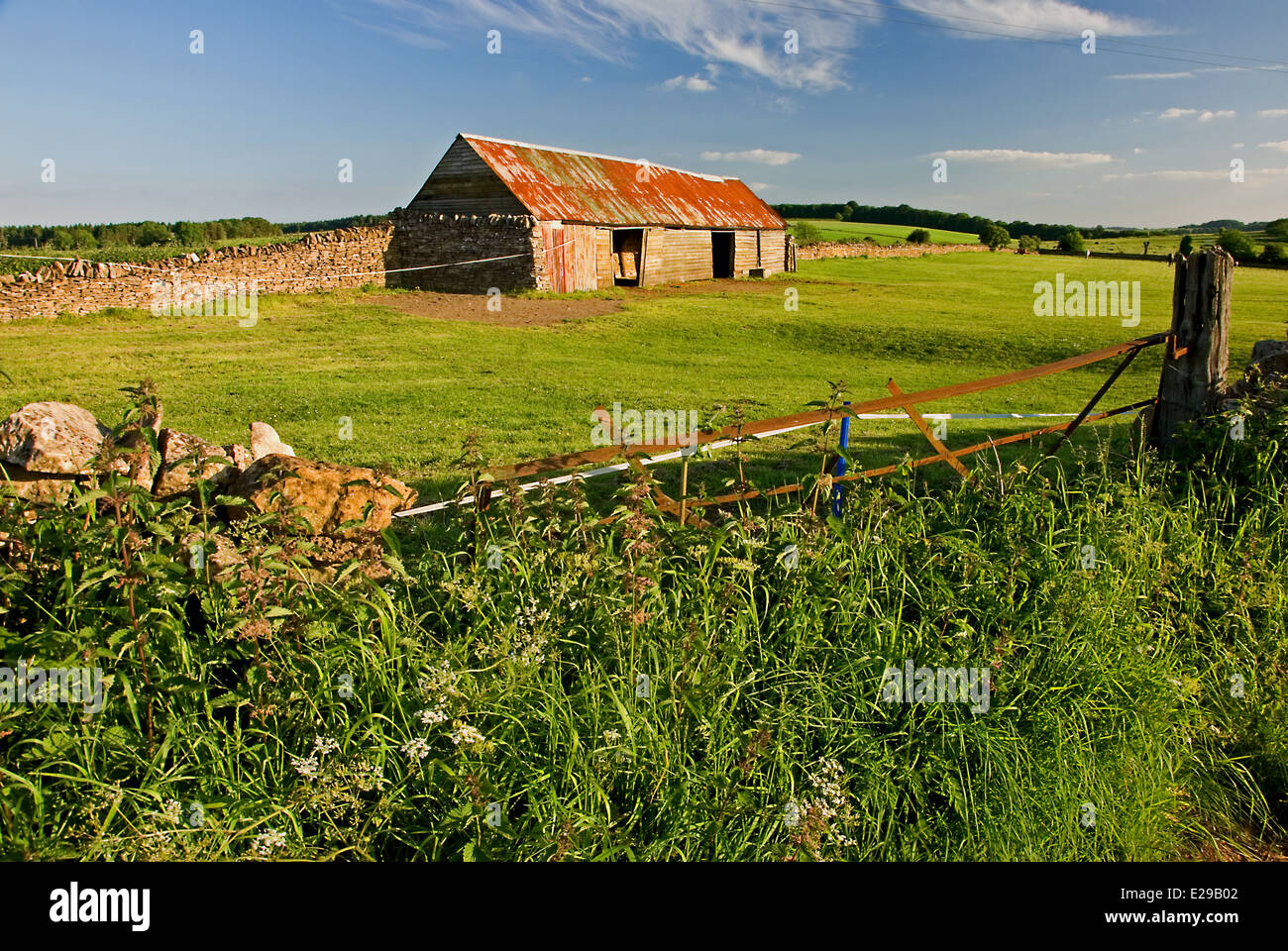 Eine typischen Scheune von Cotswolds befindet sich am Rande eines kleinen Feldes mit einer Trockensteinmauer eingeschlossen. Stockfoto