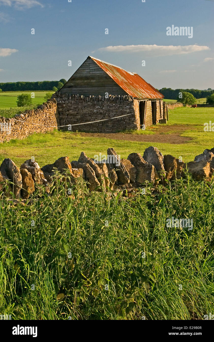 Eine typischen Scheune von Cotswolds befindet sich am Rande eines kleinen Feldes mit einer Trockensteinmauer eingeschlossen. Stockfoto