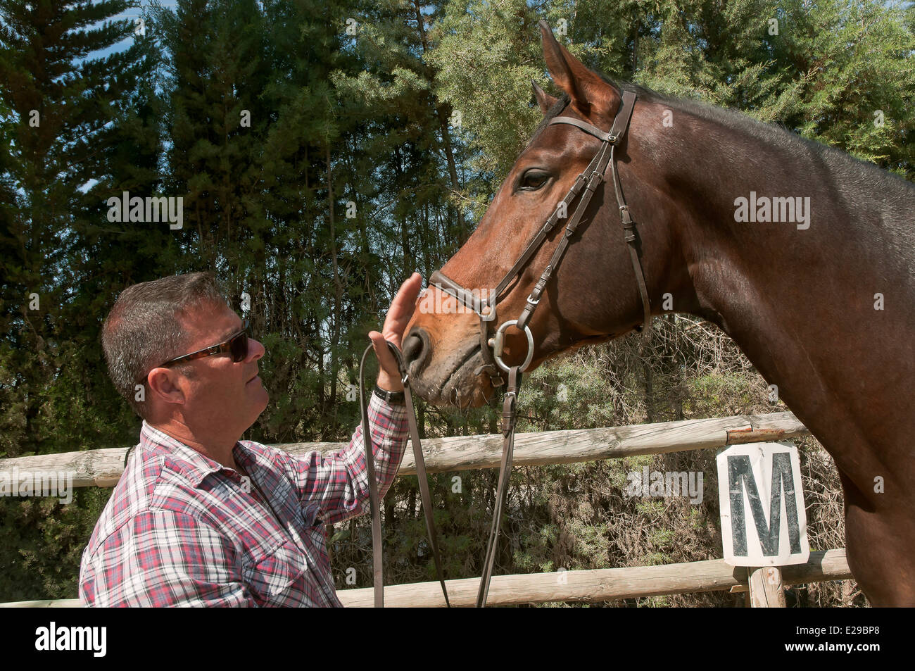 Reitschule "Riopudio" - Pferd und Mensch, Göppingen, Sevilla Provinz, Region von Andalusien, Spanien, Europa Stockfoto