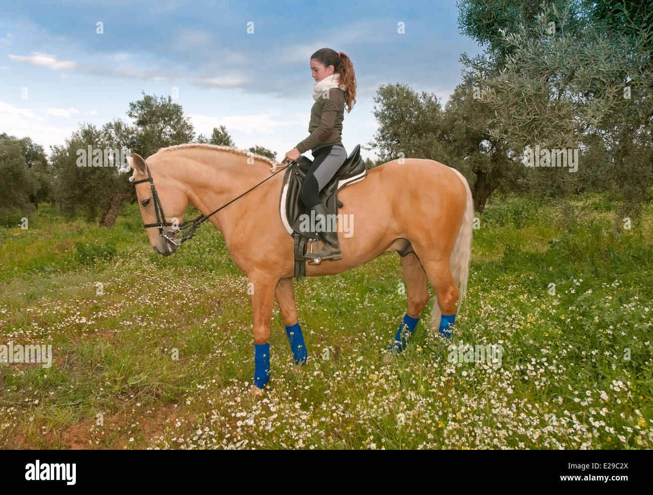 Reitzentrum El Acebuche - Pferd und Mädchen, Bollullos De La Mitacion, Provinz Sevilla, Region von Andalusien, Spanien, Europa Stockfoto