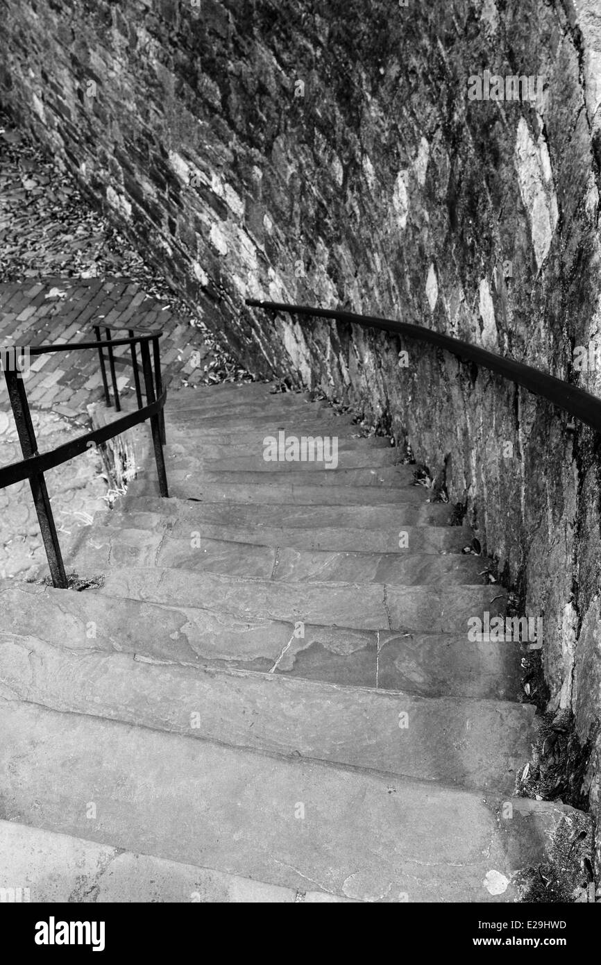 Stein-Treppe, Savannah, GA Stockfoto