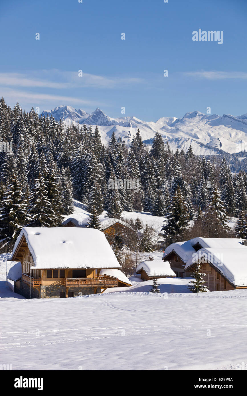 Frankreich, Haute Savoie, Praz de Lys mit Blick auf das Massif du Mont Blanc und der Aiguilles de Chamonix Stockfoto