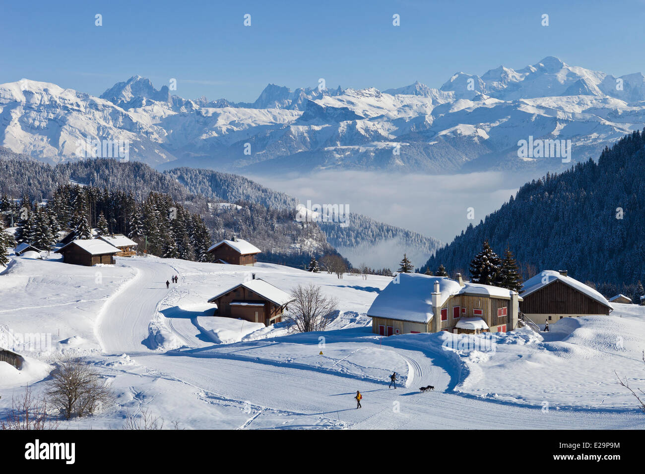 Frankreich, Haute Savoie, Praz de Lys mit Blick auf den Mont Blanc (4810m) rechts und die Aiguilles de Chamonix Stockfoto