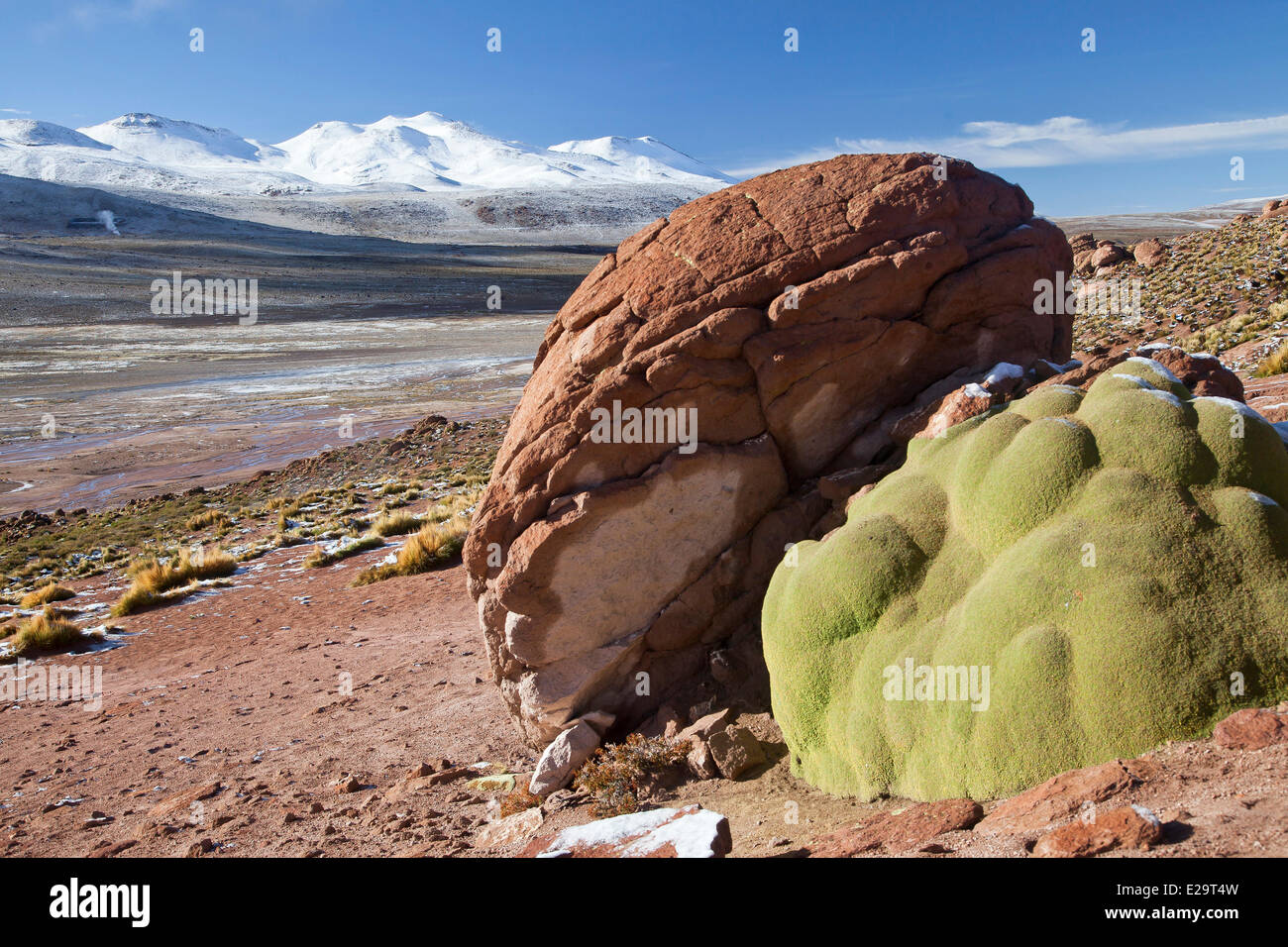 Chile, Antofagasta Region, San Pedro de Atacama, El Tatio Erdwärmefeldes Stockfoto